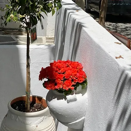 Vakantiehuis Mina House