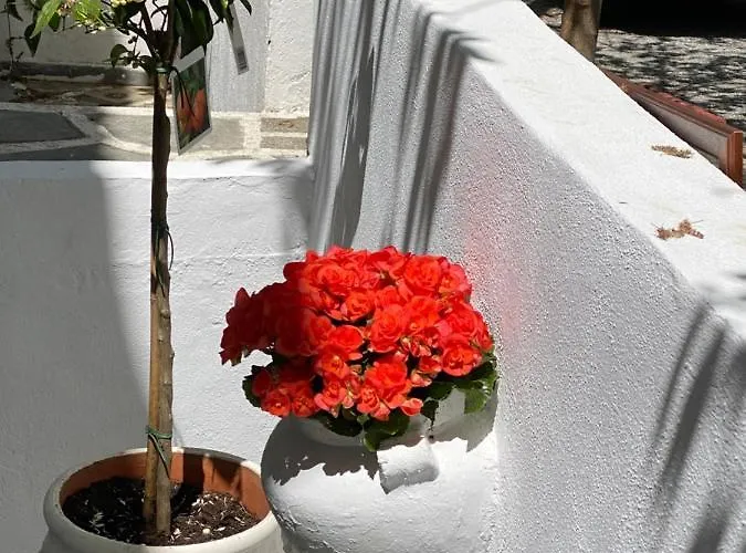 Tatil Evi Mina House