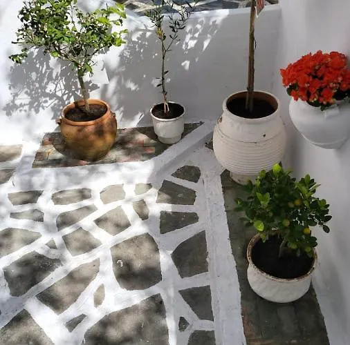 Tatil Evi Mina House Siviri